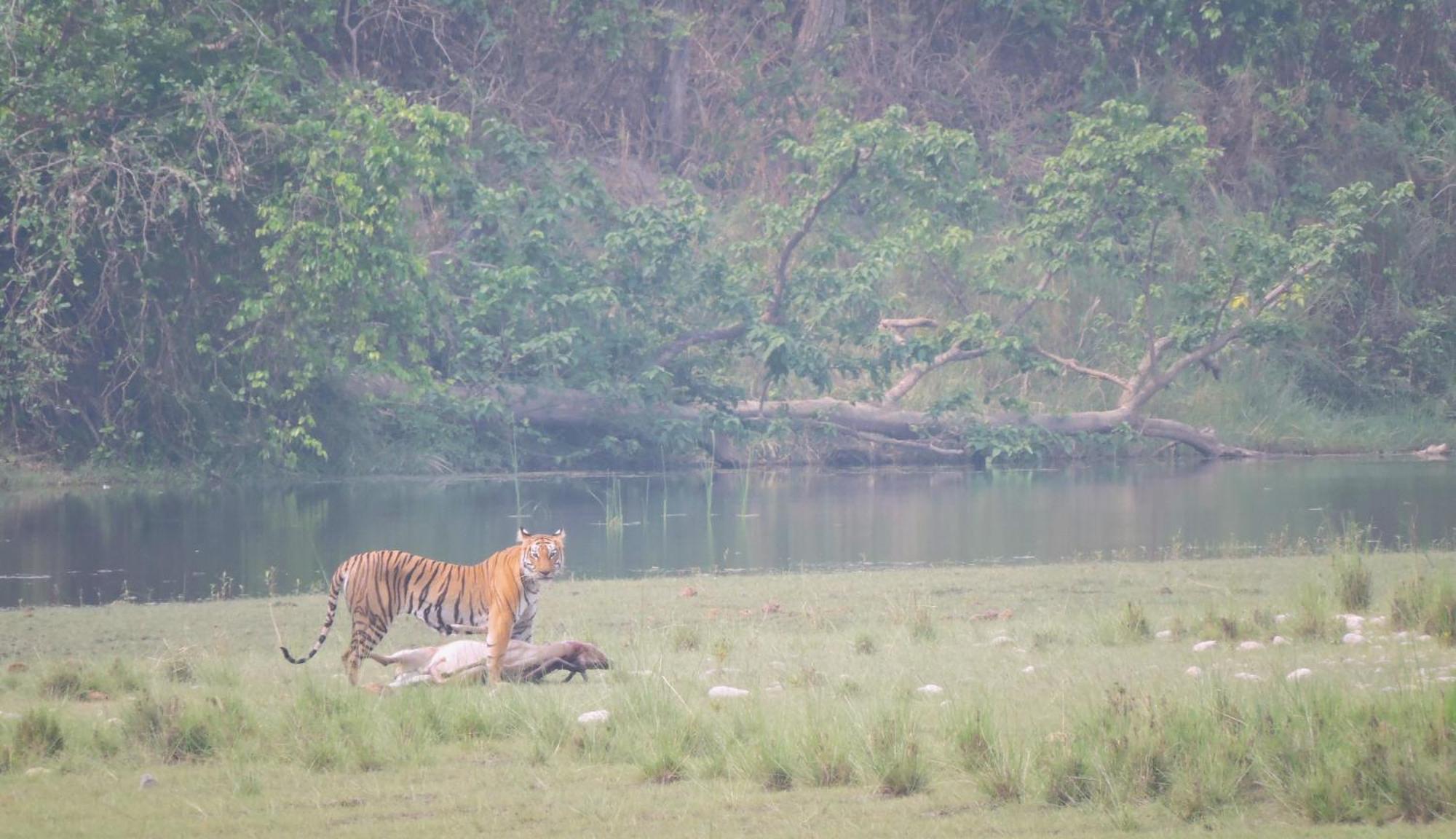 Babai Resort Pvt Ltd Bardiya Esterno foto