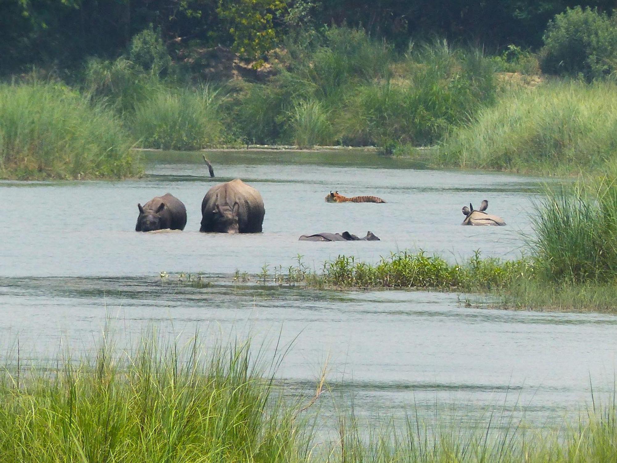 Babai Resort Pvt Ltd Bardiya Esterno foto